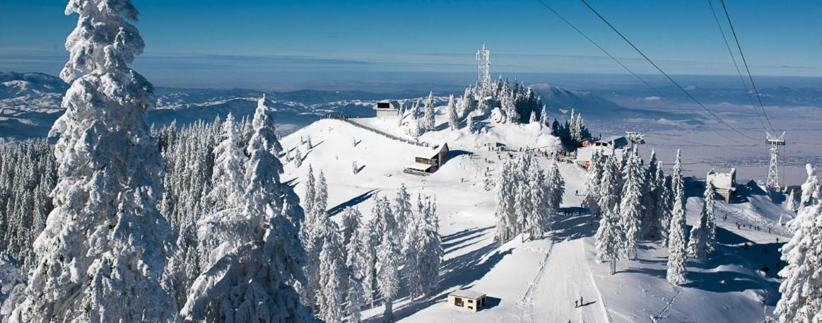 Panoramic Residence Zărneşti Екстериор снимка