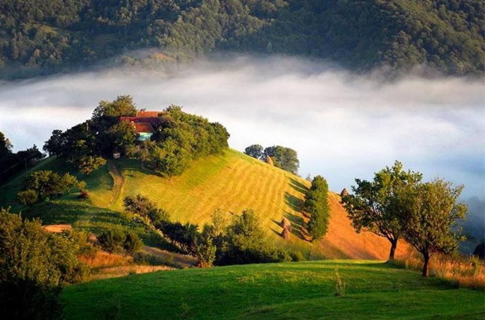 Panoramic Residence Zărneşti Екстериор снимка