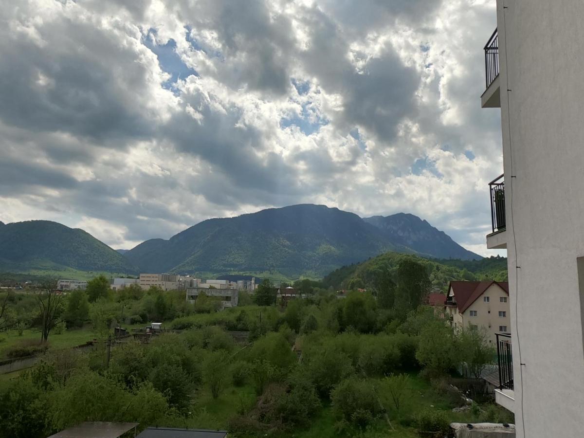 Panoramic Residence Zărneşti Екстериор снимка