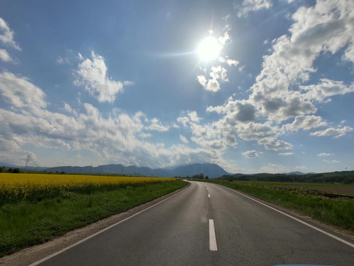 Panoramic Residence Zărneşti Екстериор снимка