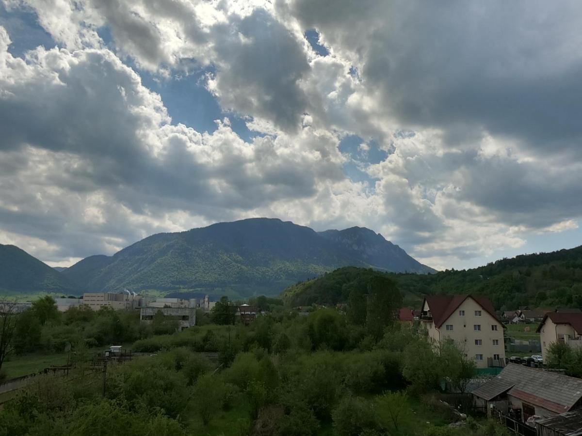 Panoramic Residence Zărneşti Екстериор снимка