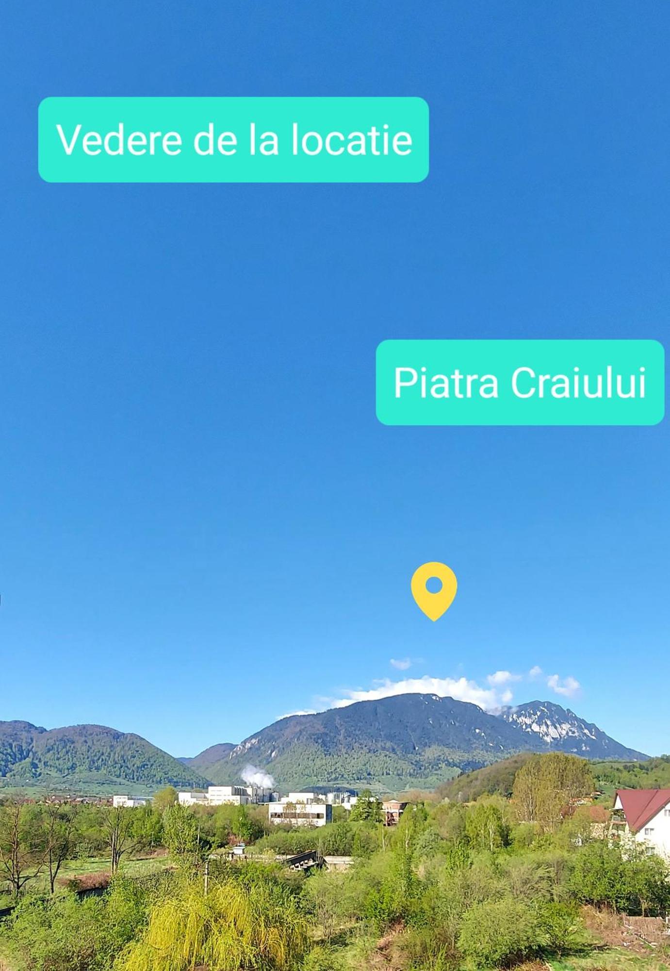 Panoramic Residence Zărneşti Екстериор снимка